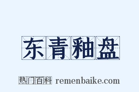 东青釉盘是什么意思的图片